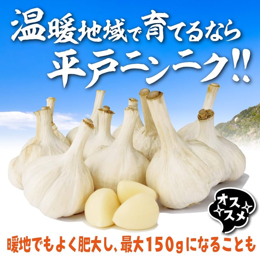 61ELGBzy+sL._UF894,1000_QL80_.jpg